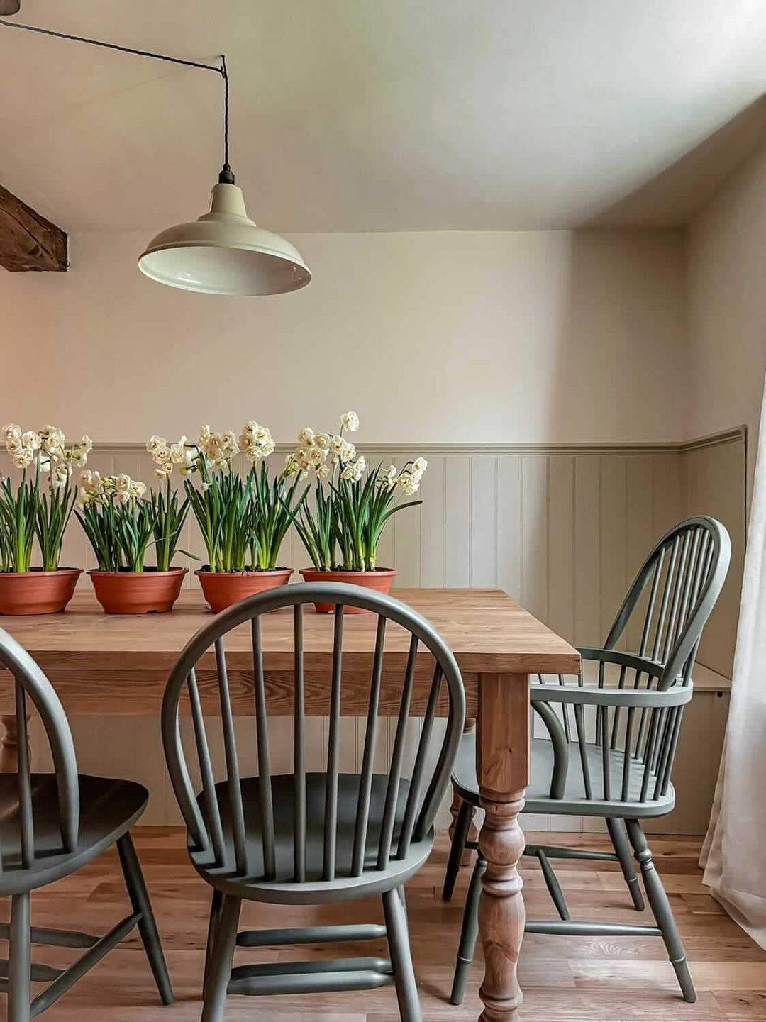 Oak vs Pine for Dining Room Furniture - which one is best for you?